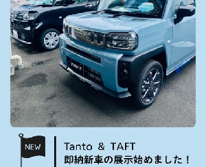 即納新車の展示